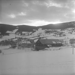 Skammestein, Øystre Slidre, Oppland, 11.03.1955. Forskningss