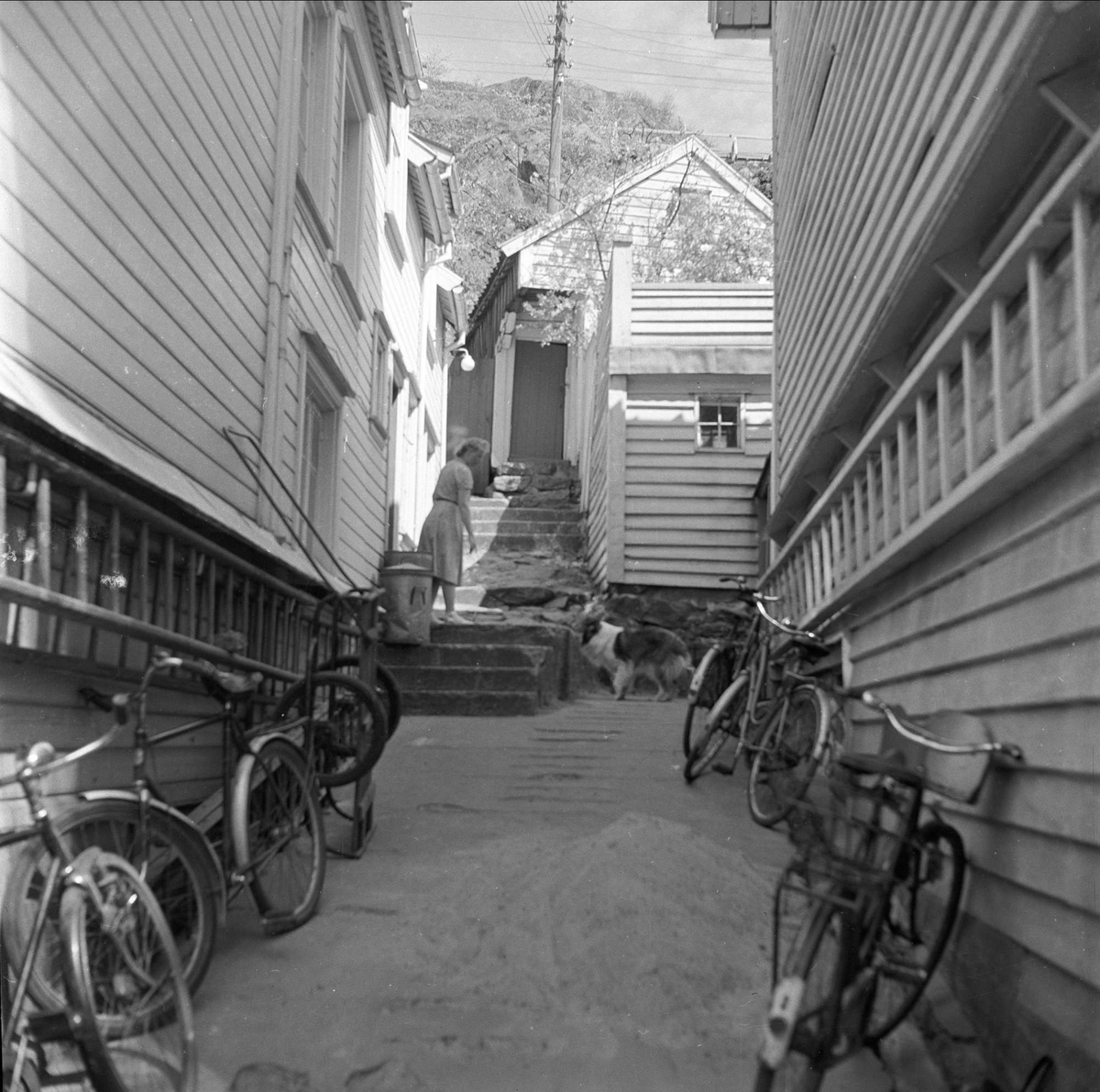 Sørlandet, mai 1955. Bebyggelse, smug med sykler og stiger.