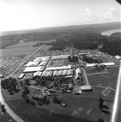 Ekeberg, Oslo, 11. juni 1959, landbruksutstilling, flyfoto o