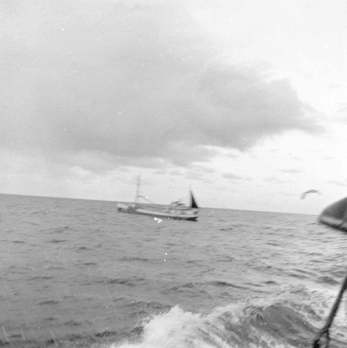 Pigghåfiske på Shetland.
Shetland, 14-22. mai 1958,  fiskeskøyte i åpen sjø, annen båt i horisonten.
