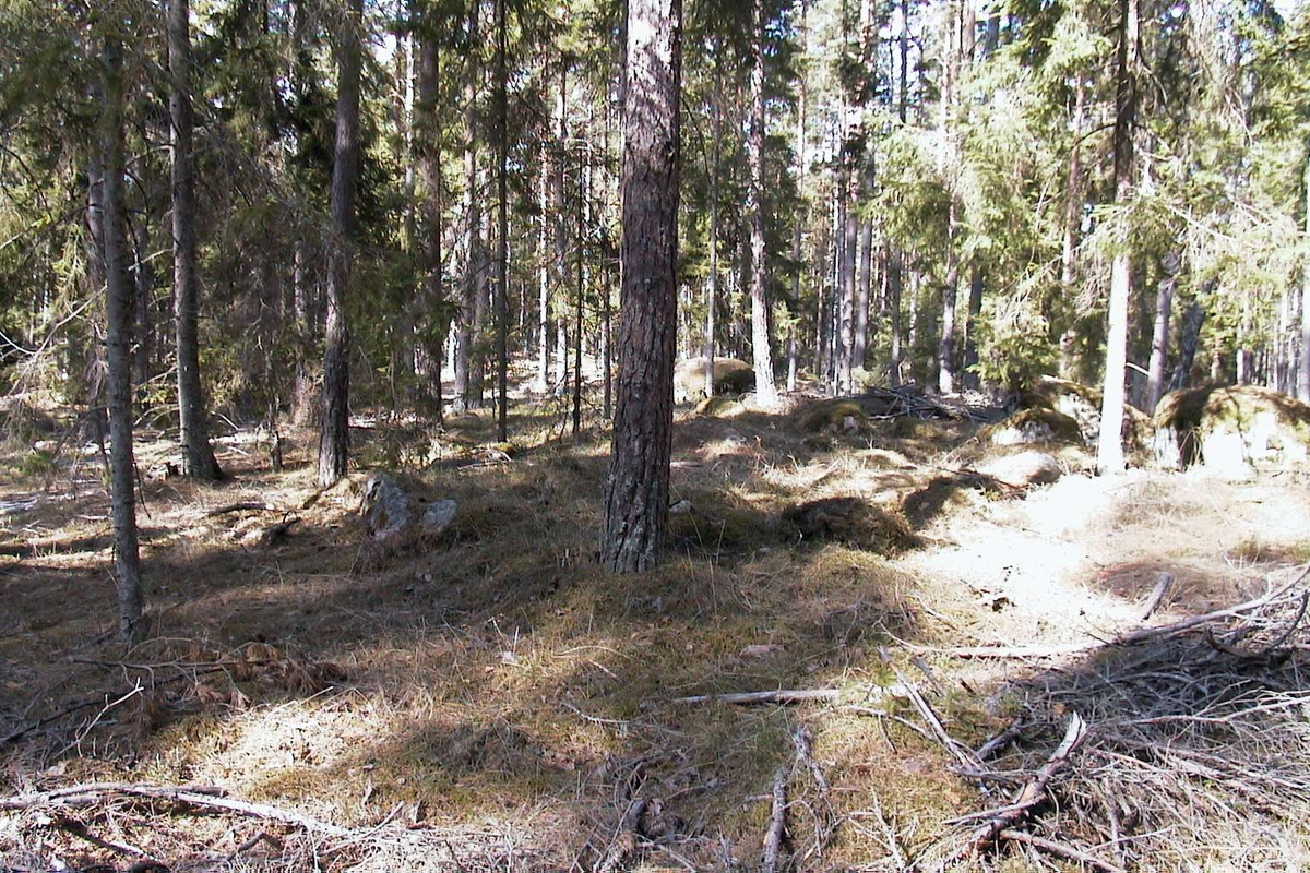 Arkeologisk undersökning, Veckholms-Ål, Veckholms socken, Uppland 2003