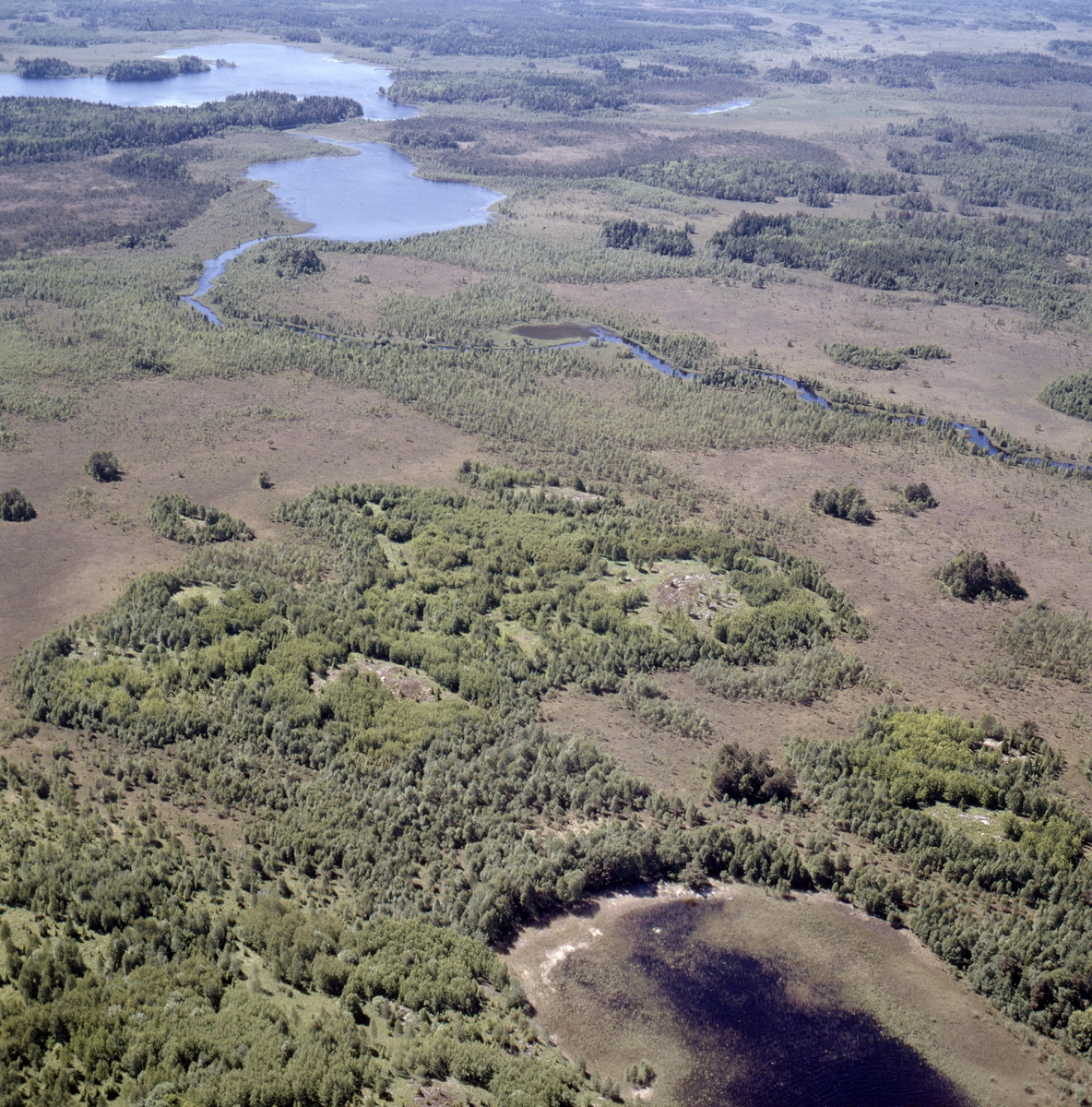 Vy över Florarna myrmark och Långån med Skälsjön och Vikasjön i bakgrunden, Uppland, juni 1989