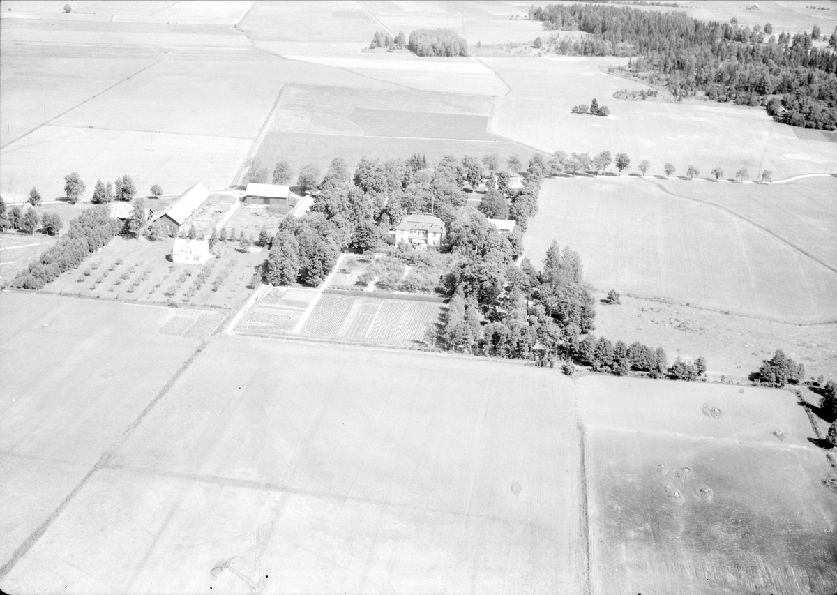 Flygfoto, sannolikt över Älby gård, Vendels socken, Uppland 1947