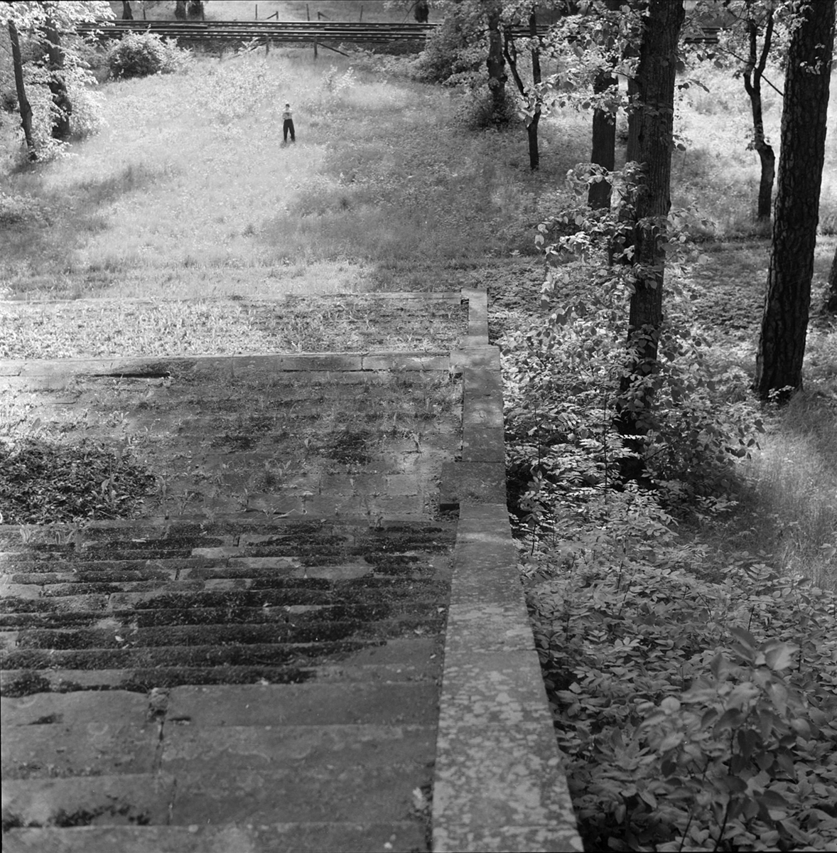 Parken vid Stora Wäsby säteri i Stora Väsby, Hammarby socken, Uppland 1960