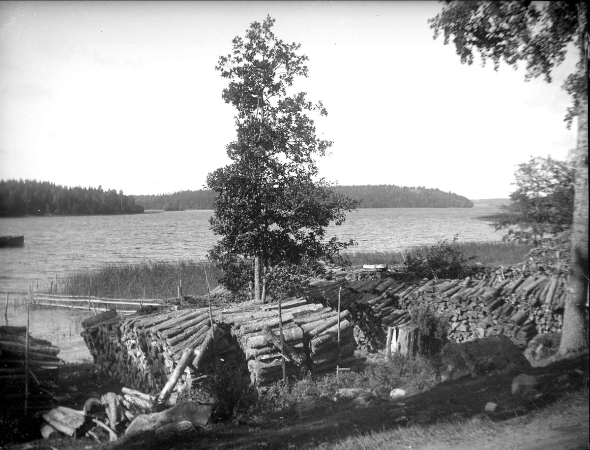 Travad ved vid Mälaren, Munkholmen, Eds socken, Uppland 1922