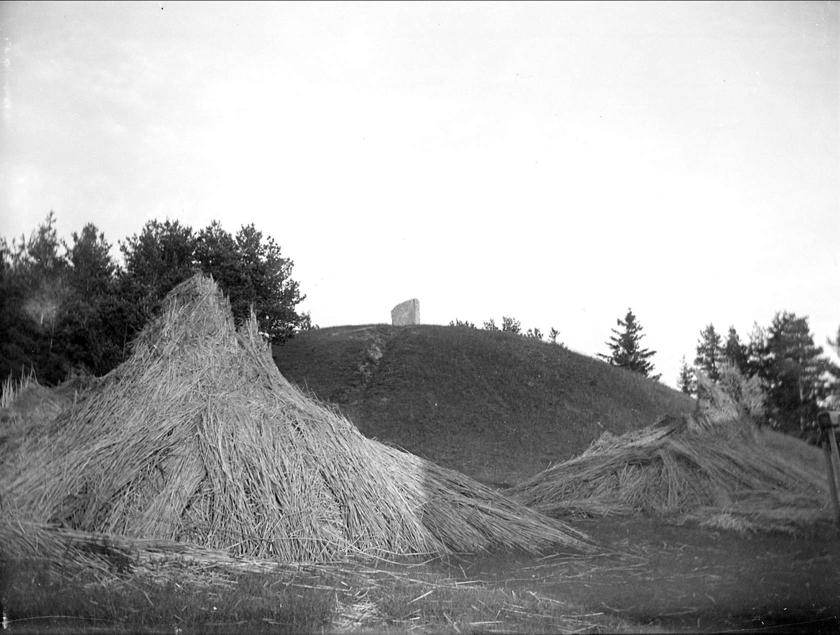 Kung Nordians hög, Åshusby, Norrsunda socken, Uppland 1916