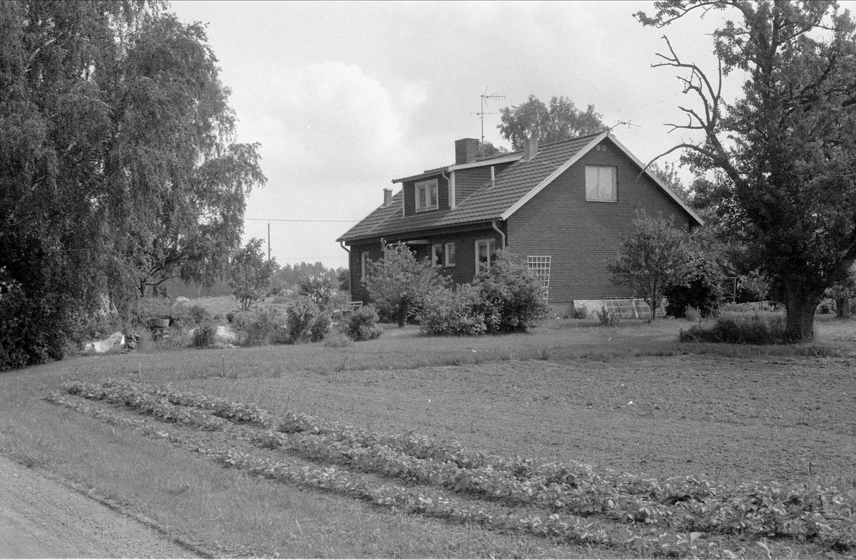 Bostadshus, Rörby 5:1, Bälinge socken, Uppland 1983