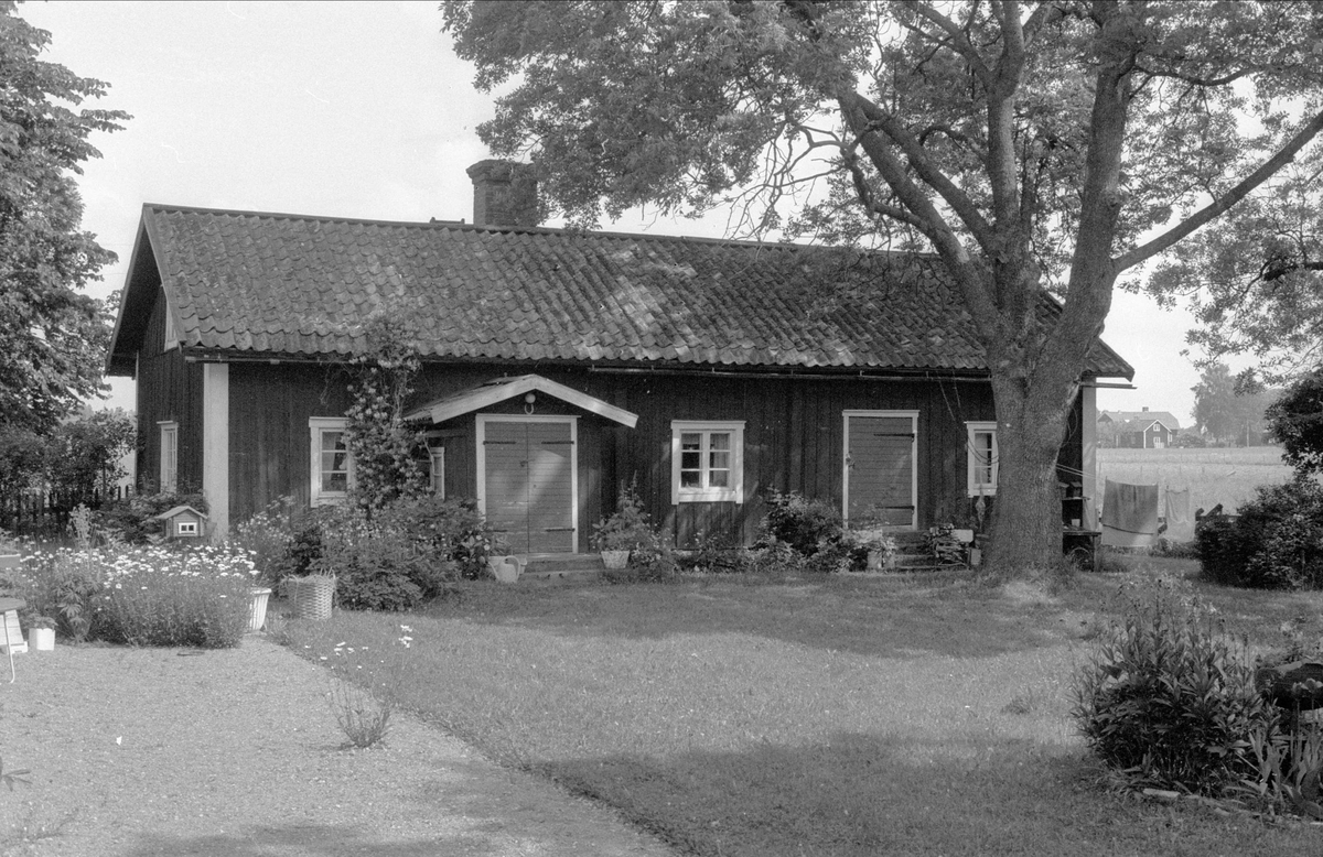 Bostadshus, Losgärde 2:1, Bälinge socken, Uppland 1976