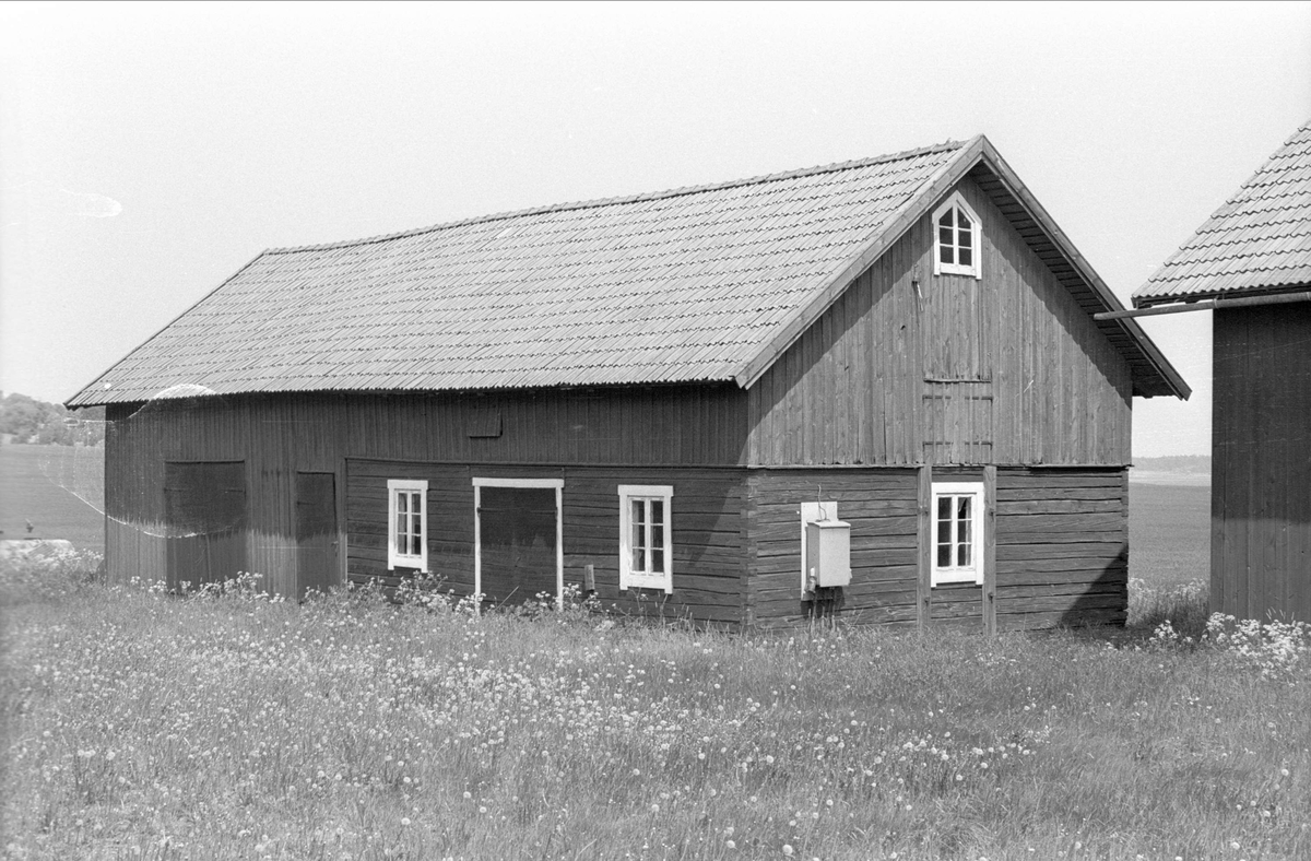Stall och loge, Edeby 1:1, Edeby, Danmarks socken, Uppland 1977