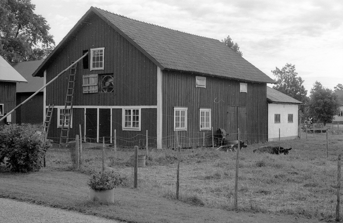 Magasin och garage, Åloppe, Bälinge socken, Uppland 1983