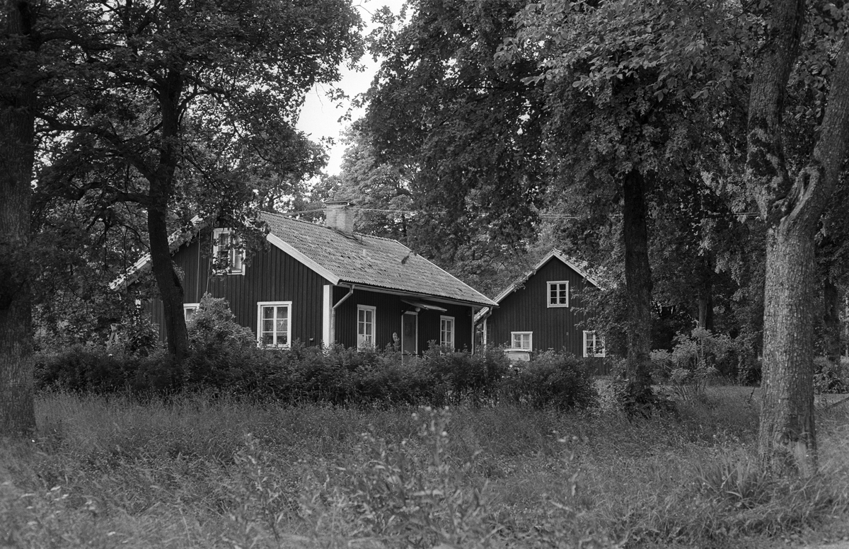 Bostadshus, Frötuna gård, Rasbo socken, Uppland 1982