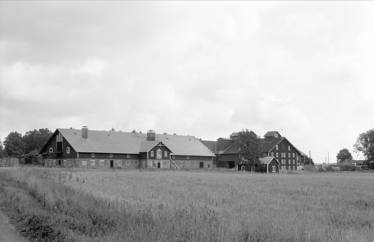 Vy över Henriksberg 7:1, Rasbo socken, Uppland 1982