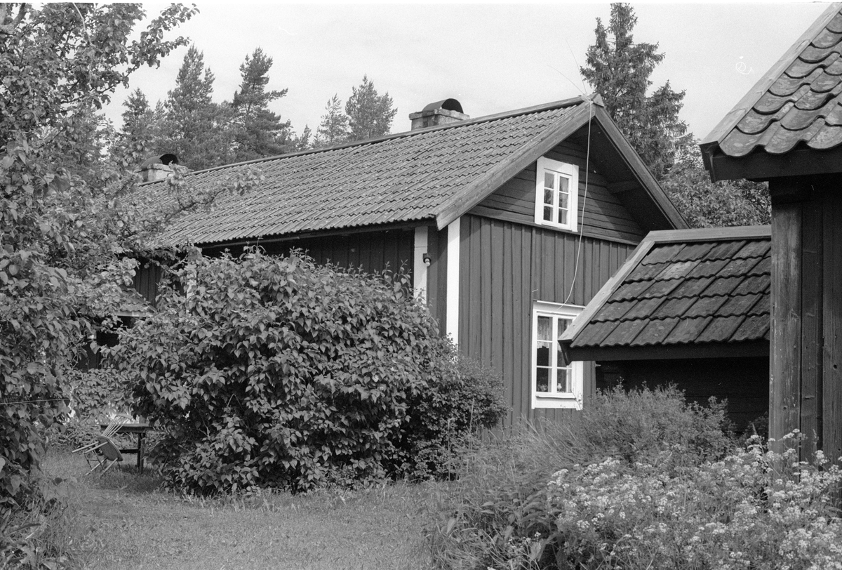 Bostadshus och källarbod, Svanbol 1:1, Svanbol, Knutby socken, Uppland 1987