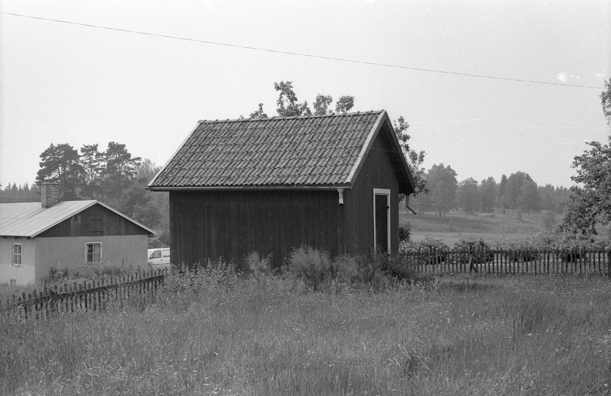 Källare, Sursta 3:2 (och 3:1), Sursta, Faringe socken, Uppland 1987 