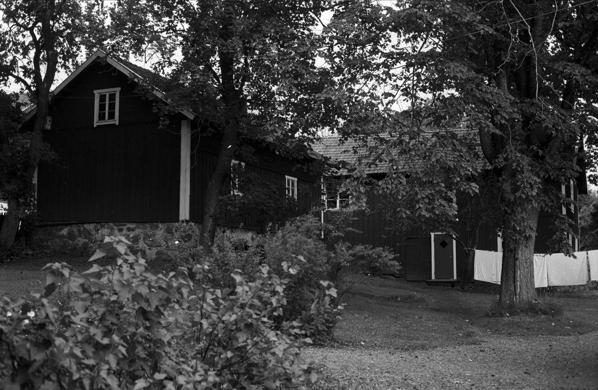 Källarstuga och brygghus, Ellringe 2:2, Stora Ellringe, Almunge socken, Uppland 1987