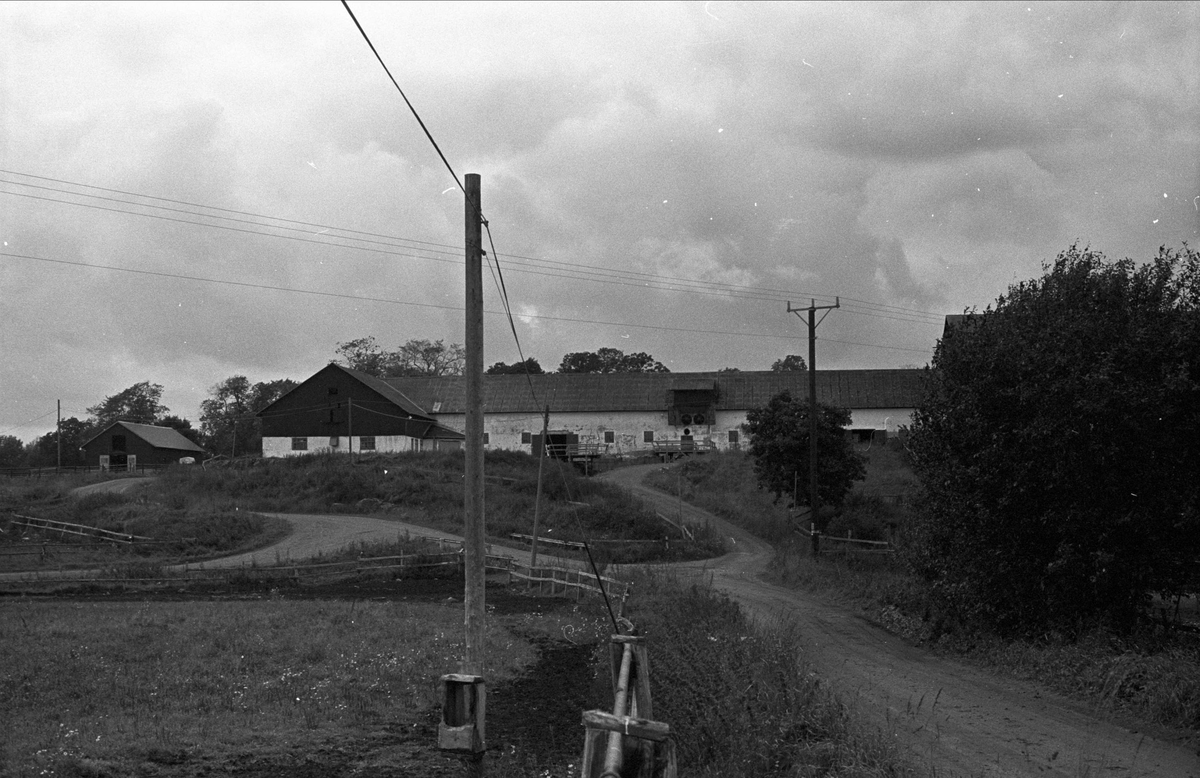 Ekonomibyggnader, Seglinge gård, Almunge socken, Uppland 1987