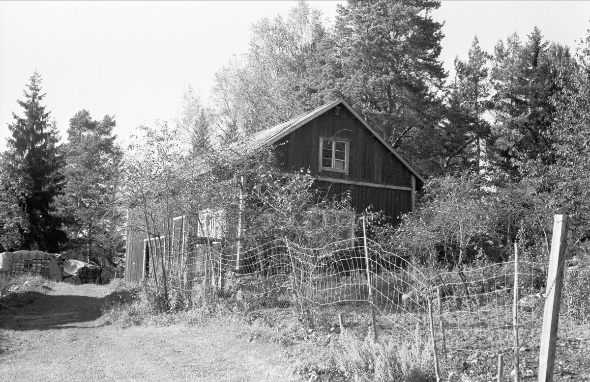 Uthus, Lövsta 2:70, Almunge socken, Uppland 1987