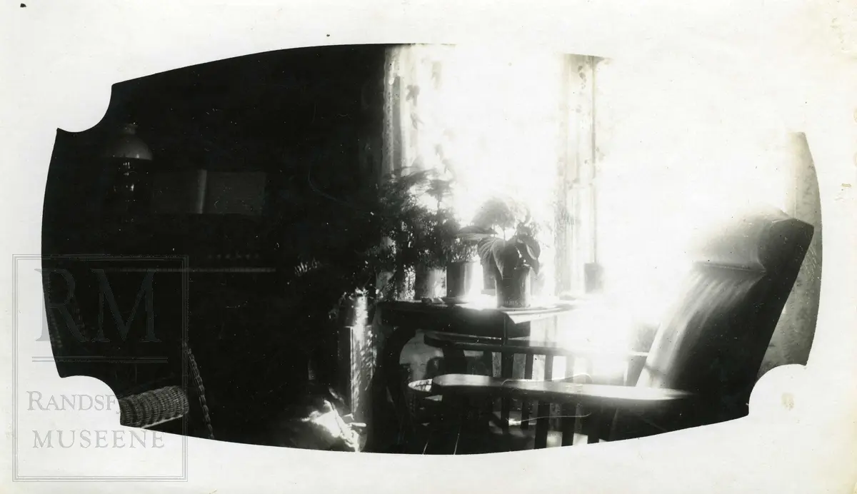 Interiør i stue, skinnstol og bord med blomster foran et vindu