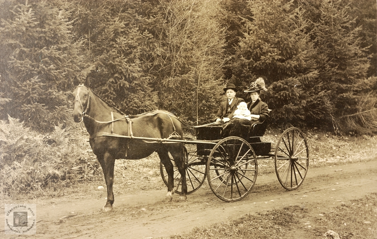 Familien Haaland på kjøretur med hest i USA.