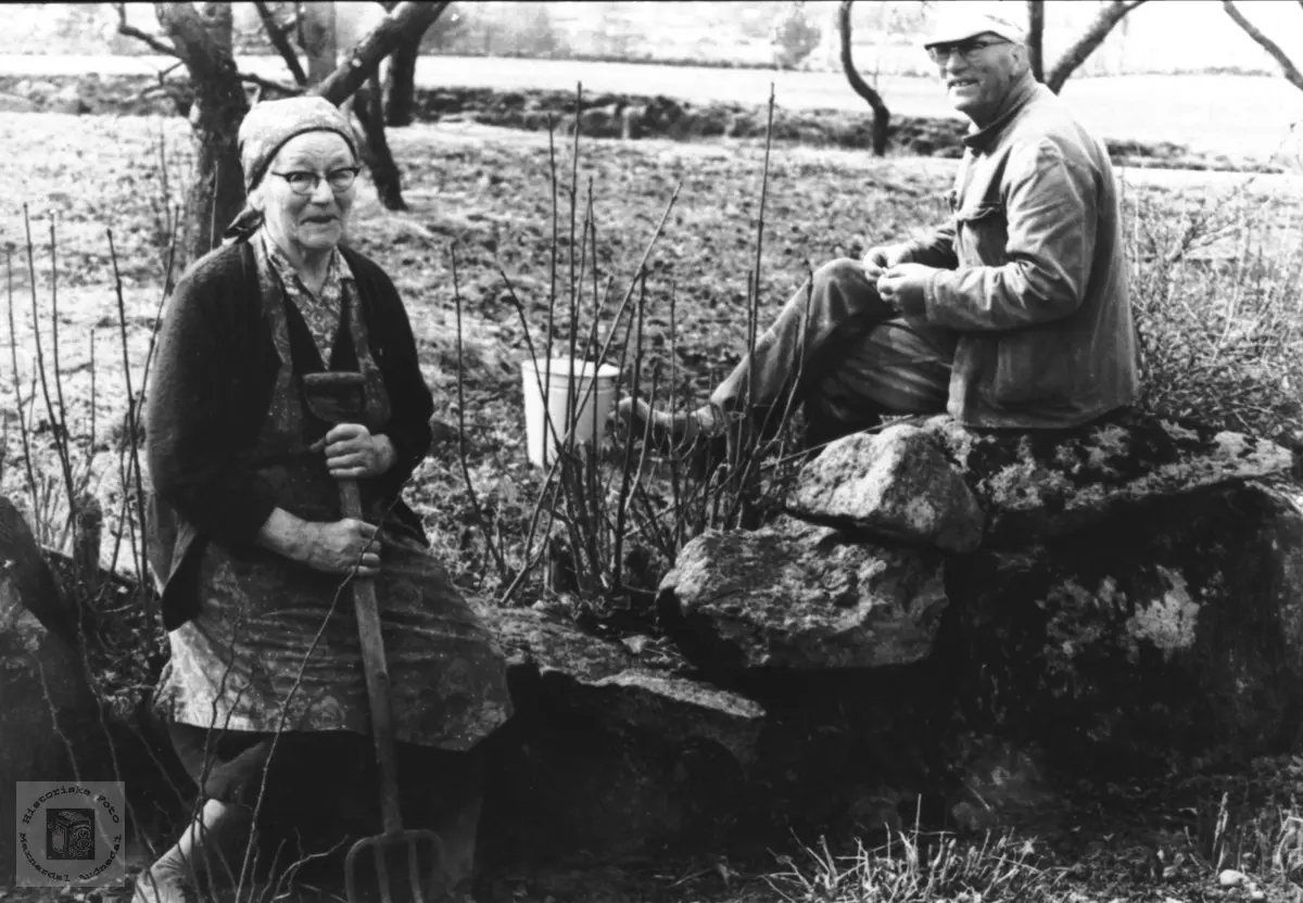 Naboene Johanna Rygnestad og Tellef Tellefsen, Laudal.