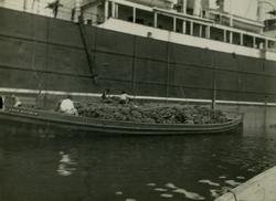 Bananlasting i Santos.