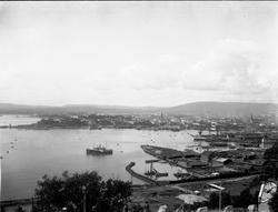 Nyblin: Kristiania fra Ekeberg