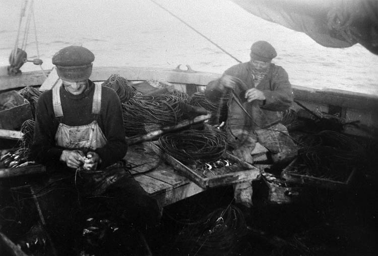 Enligt tidigare noteringar: "Ombord på LL 59 "Olive" av Grundsund. Backorna agnas. Fiskare: till höger Hjalmar Gullman, till vänster Ludvig Karlsson. 
Repro av foto tillhörande Ernst Gullman".