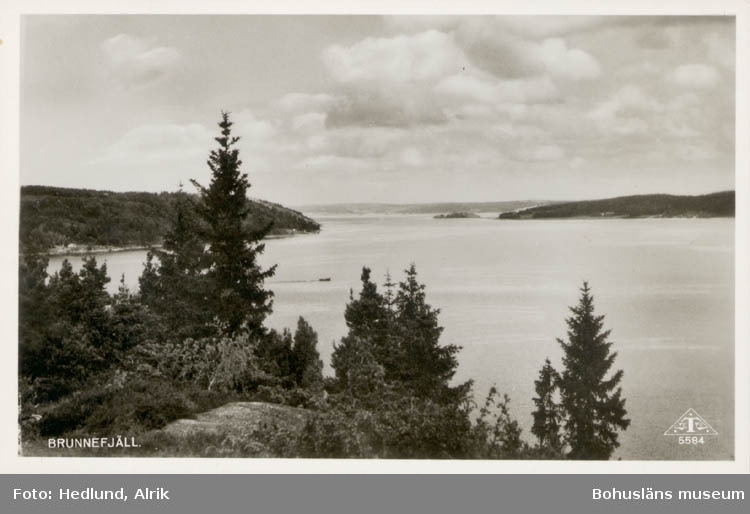 Tryckt text på kortet: "Brunnefjäll."
Noterat på kortet: "Brunnefjäll Myckleby Orust 1955."
"Utsikt nordost över vattnet mellan Orust till v. och Hasselöarna."