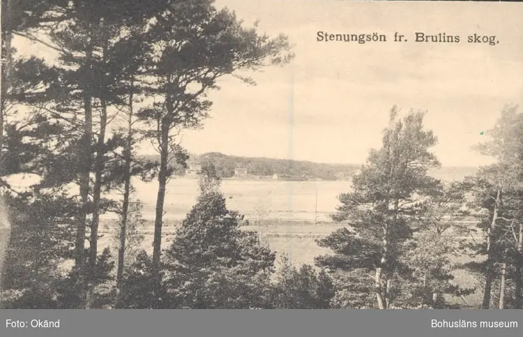 Tryckt text på kortet: "Stenungsön fr. Brulins skog."