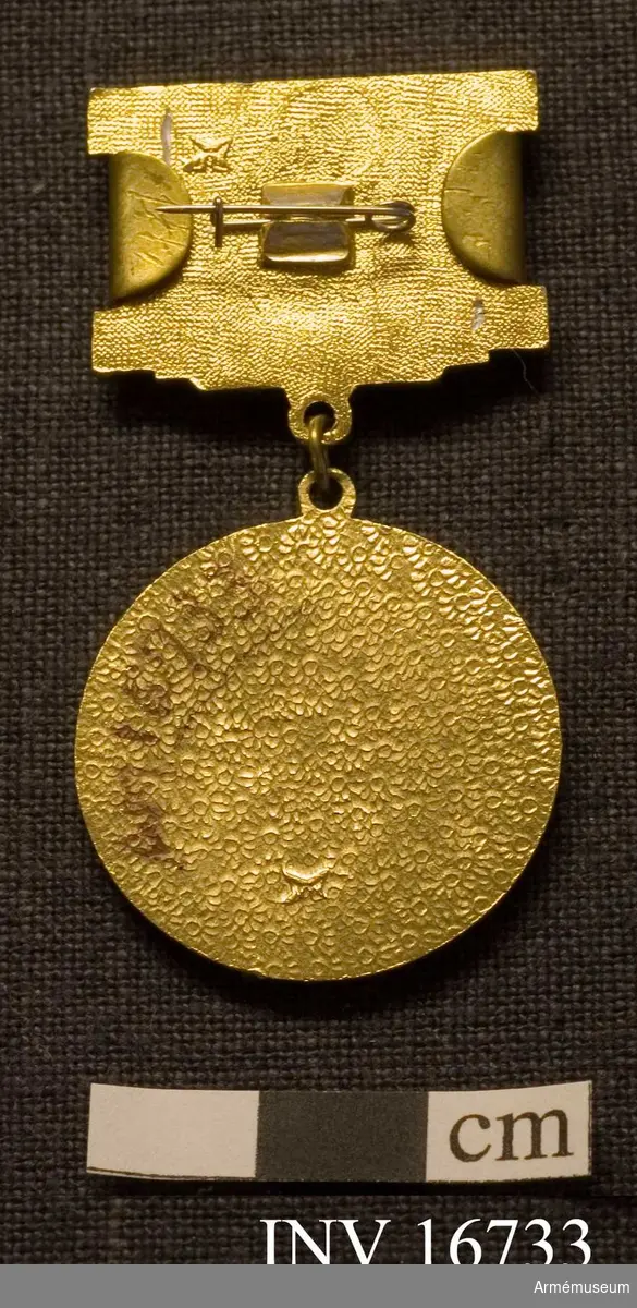 Ett guldbesprutat märke som hänger i ett medaljband klätt med ett rött ripsband. Har broschfästning på frånsidan. Åtsidan är försedd med rysk text och hammaren och skäran inom en stjärna med röd bottten. Medaljen ligger i en röd ask klädd med rött klot och på insidan är röd sammetsklädsel.

Samhörande nr är AM.16715-16732