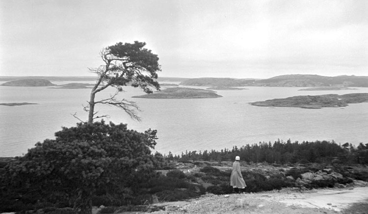 Enligt senare noteringar: Persmyrsberget med utsikt inåt Dyrekilen. 23 Juni 1921.