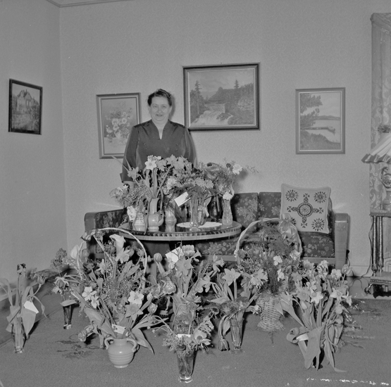 Text till bilden: "Fru Niklasson, Bergavägen 10. 50 år.
1955.02.25"








i