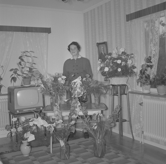 "Fru Johansson 50 år. 1960-08.31"
