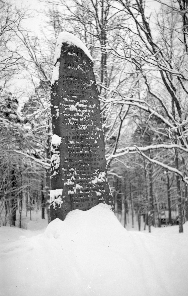 Smålandsstenen i Jönköpings Stadspark på vintern. År 1907 avtäcktes stenen "Söner av Småland" i Stadsparken. På stenen finns 65 namn på kända (och vissa halvkända) män som är födda i Småland.