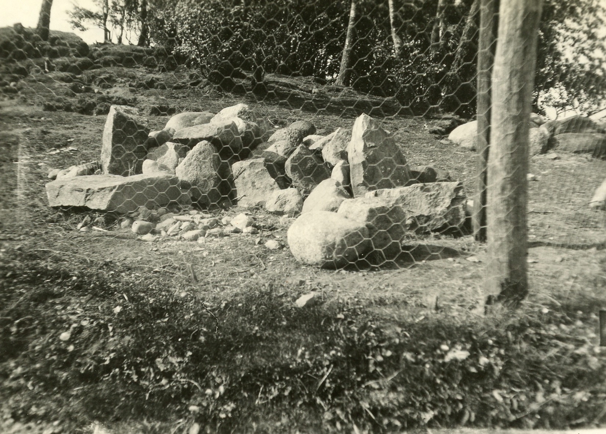 Mammarpshögen 1928
