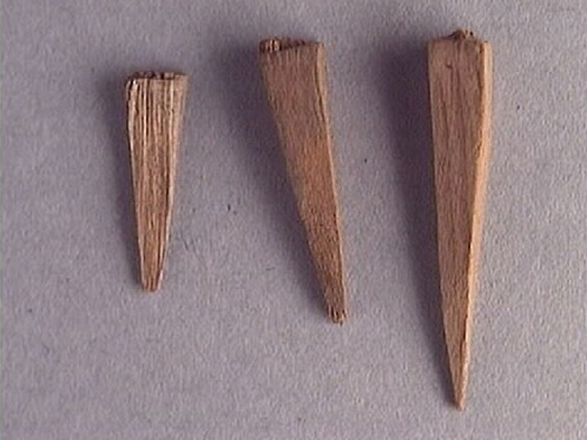 Elva stycken trapetsformade och spetsiga träpligg. Träpliggen varierar något i längd. Tre av träpliggen har små sprickor. I övrigt är pliggen intakta och i gott skick.