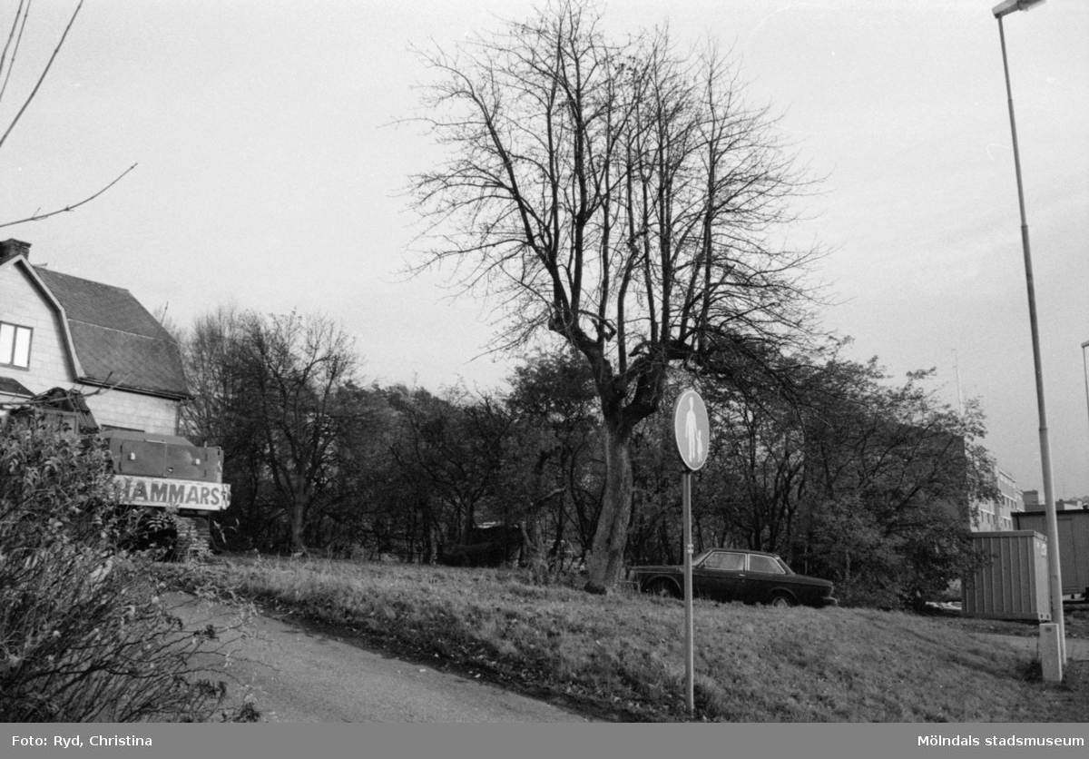 Vy från Järnvägsgatan mot ett hus vid Trädgårdsgatan, 30/1 1991.