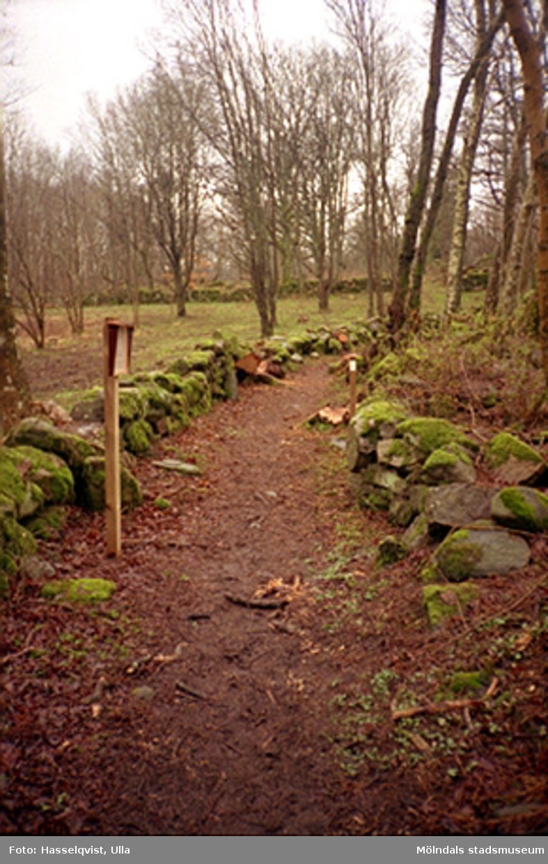 Invigning av Natur- och Kulturstigen i Livered, Kållered, år 2000. En fägata kantad av stenar.