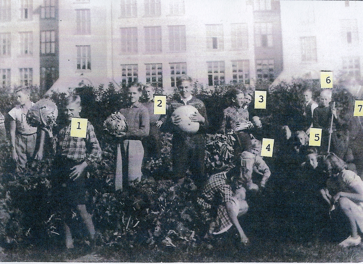 Mange elever i skolehaven på Volla skole med selvdyrkede grønsaker til bruk på skolekjøkkenet.