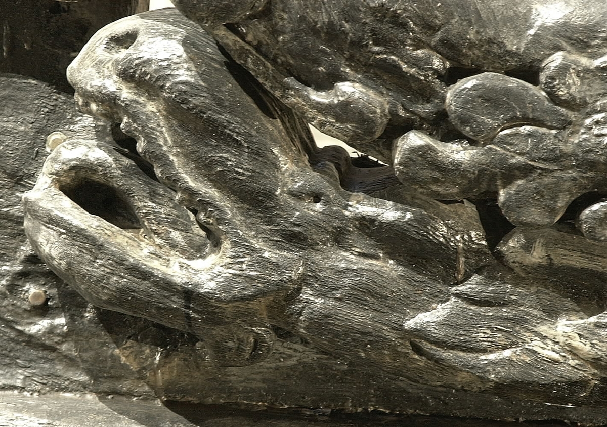 Skulptur av en drake (eller delfin), återgiven i vänster profil.
Huvudet är stort och har en klumpig nos, halvöppen mun och små ögon. Stjärten med sin storflikiga fena fortsätter uppåt och avtecknar sig längs stjärten till en triton. Baksidan är slät.
Skulpturen är relativt sliten.

Text in English: A sculpture of a dragon (or dolphin) in left profile.
The head has a large clumsy nose, a half-open mouth, and small eyes. Its tail with a largelobed fin extends upwards a triton''s rear, see No. 01018. The back is smooth.
The sculpture is somewhat worn.
