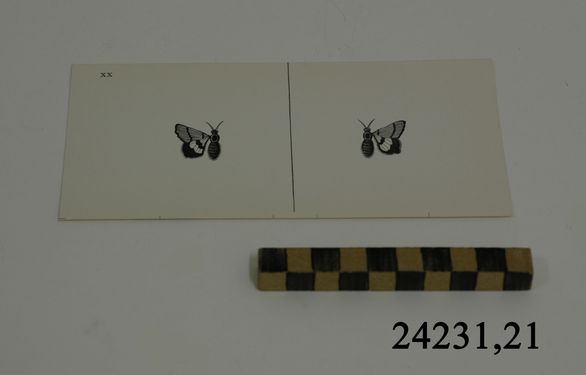 Rektangulärt vitt pappersark numrerat XX i övre vänstra hörnet. På arket syns två stycken olika bilder i svartvitt, en för vardera öga. Till vänster: En fjäril med endast vänster vinge. Till höger: En fjäril med endast höger vinge.
