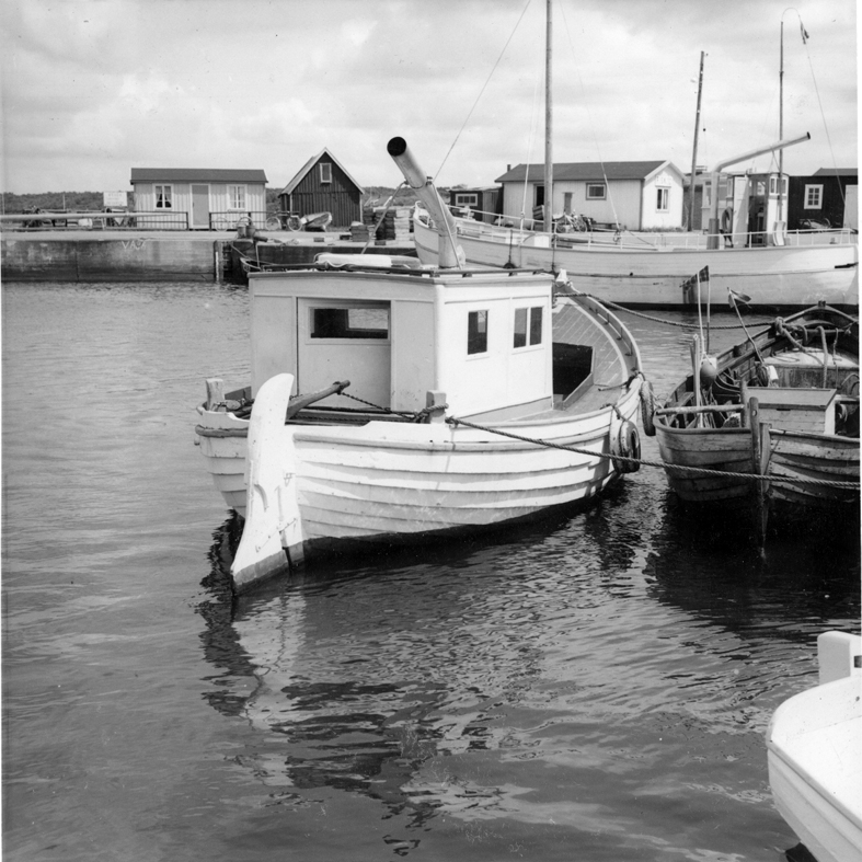 Skåne, Torekov, inre hamnen, i bakgrunden en trålare, nu passagerarbåt. I förgrunden en skånebyggd däcksbåt och en skånesnipa, möjligen Rååbygge. Juni 1962