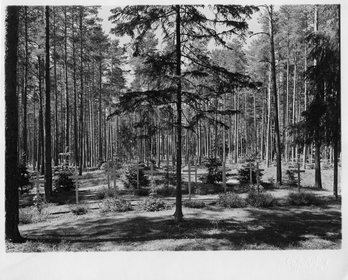 Skogskyrkogården
Gravplatser i skogen