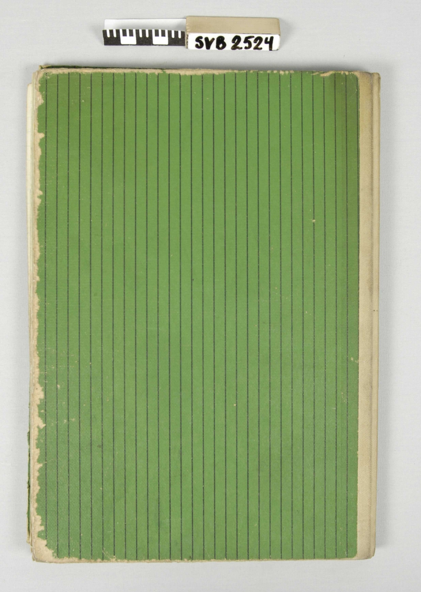 Innbundet, linjert notatbok med nålestripet, grønt omslag, rygg av tekstil. Hvit og grønn etikett på forsiden. Håndskrevne notater. 
