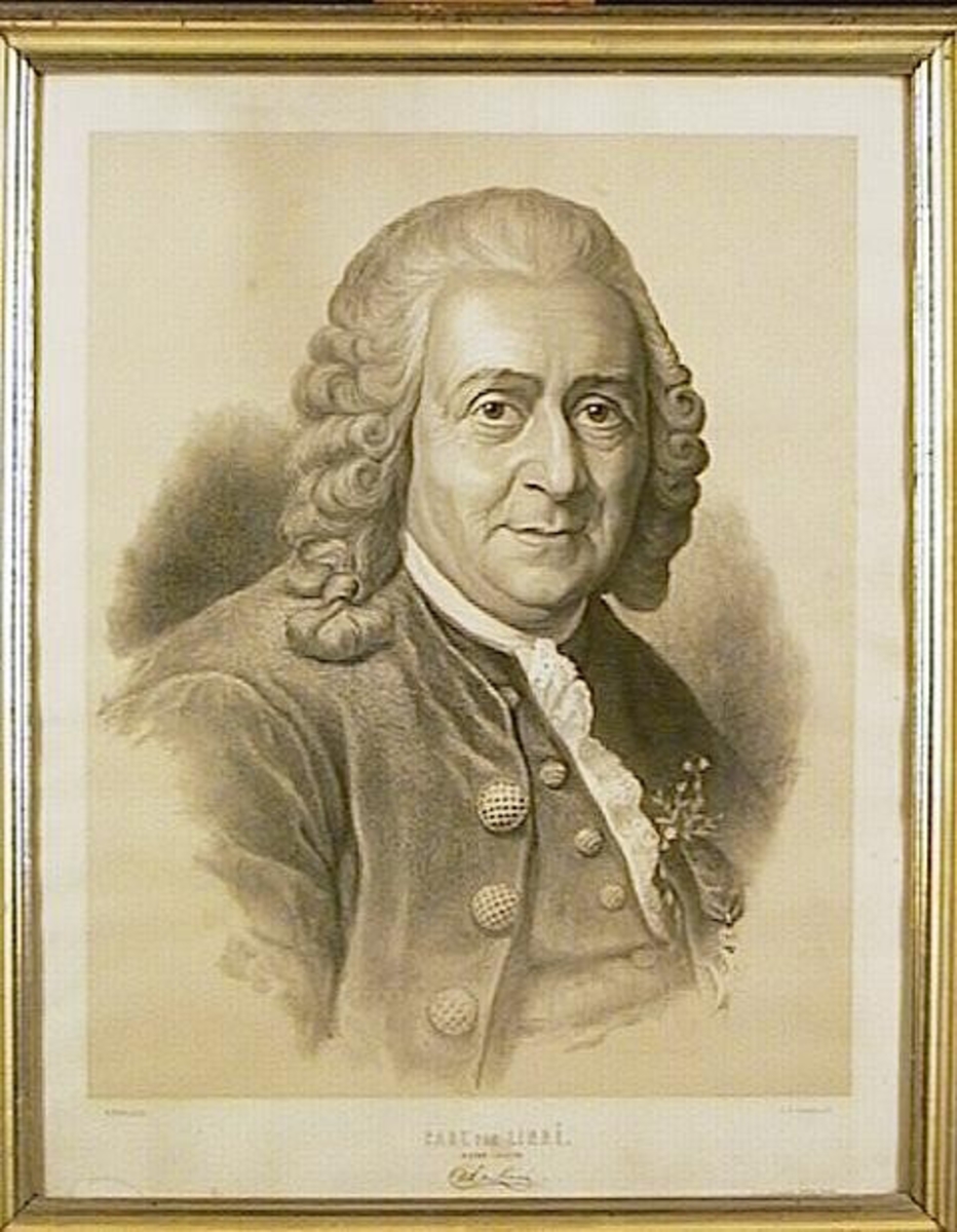 Linné, Carl von (1707 - 1778)