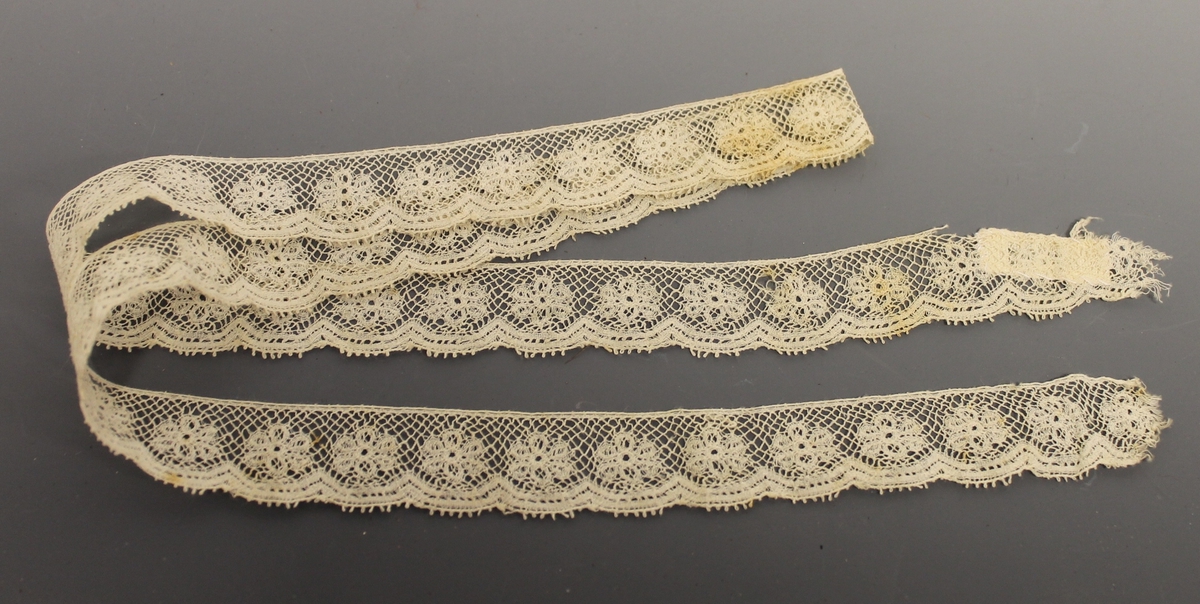 Seks-bladet blomst på nett bunn.