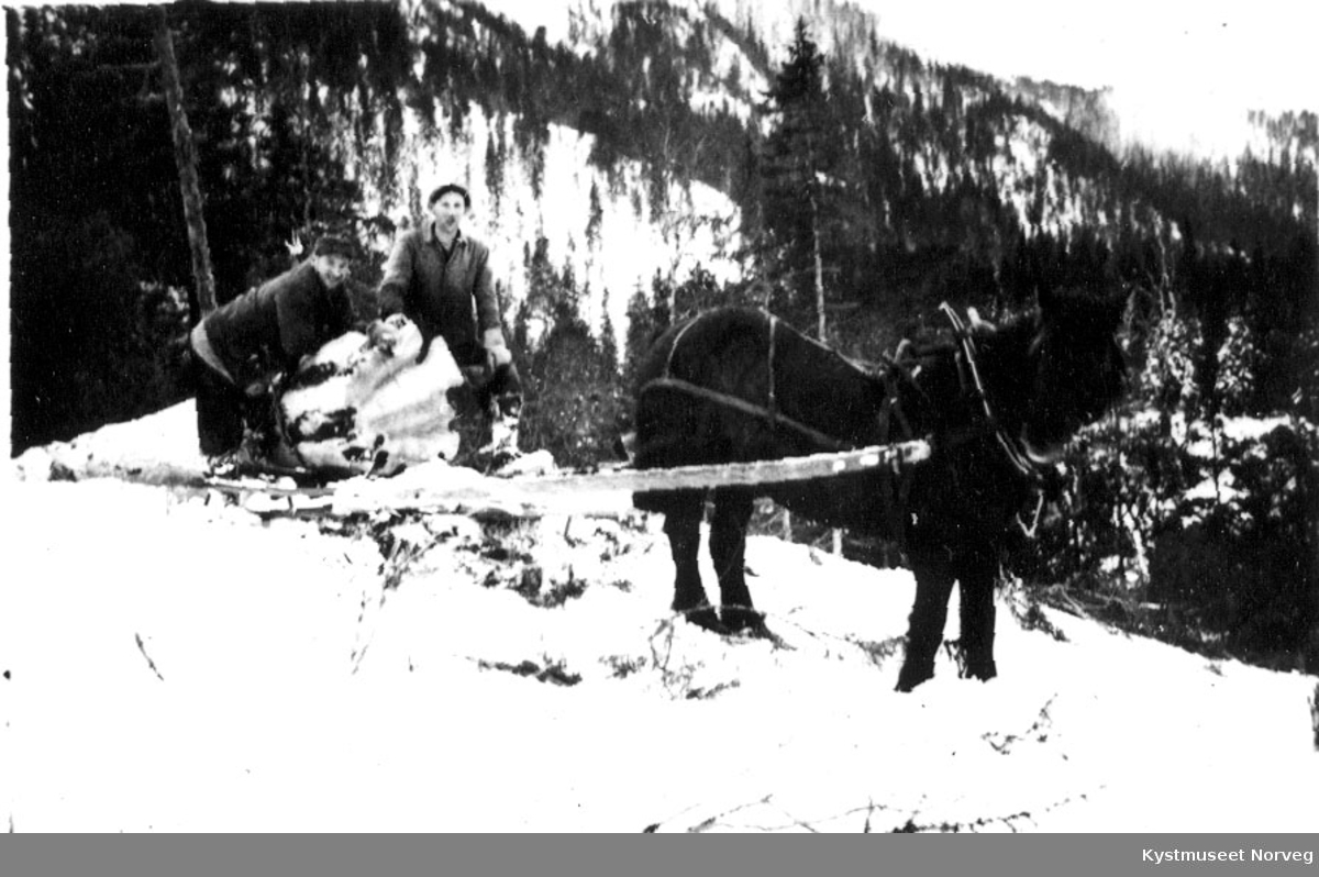 Skogsarbeiderne Olav Nilssen og Ivar Sved i Flatanger