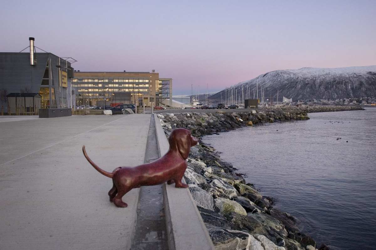 Del av utsmykning som består av 9 skulpturer, 7 i hvit betong og 2 i bronse. Opgitt mål gjelder hver enkelt hund. Den ene hunden er plassert ved kaikanten og den andre i sentrum av Tromsø. De er mekaniserte slik at hundene logrer med halen hver gang en teaterforestilling starter.