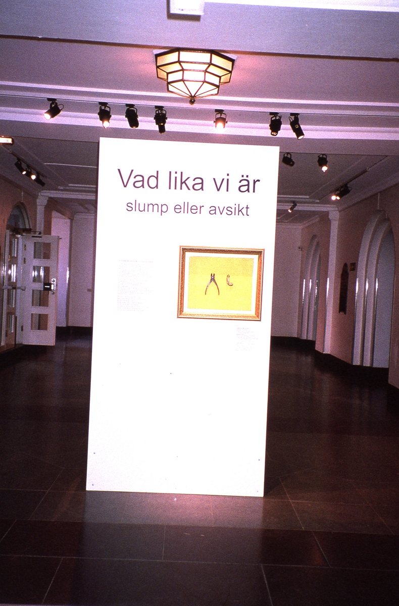 'Utställning ''Vad lika vi är'' på Göteborgs Naturhistoriska museum. ::  :: Utställningsskärm med texten ''Vad lika vi är - slump eller avsikt''. ::  :: Ingår i serie med fotonr. 6948:1-12.'