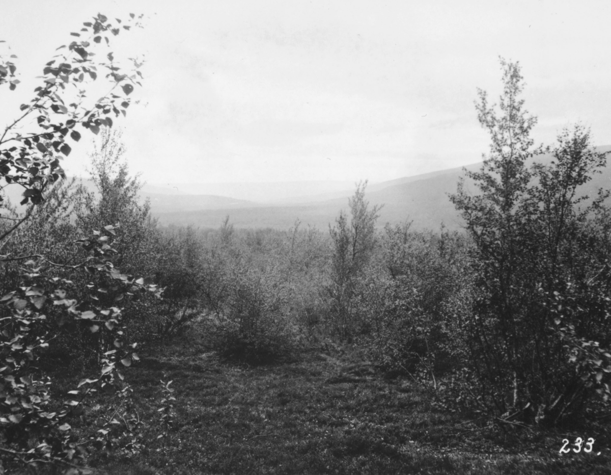 Jordbrukskomiteen på Stortinget foretok en reise til Finnmark i 1935.Kleppe var med, og ga bildene sine fra denne turen til fylkesmann Gabrielsen etter krigen. Her har Kleppe fotografert et naturlandskap i Luftjokdalen om sommeren.Kleppes bildetekst: 'Oppover Luftjokdalen'.